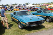 MUSTANG